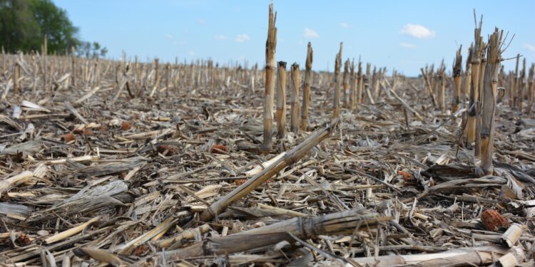 App helps build healthy soils