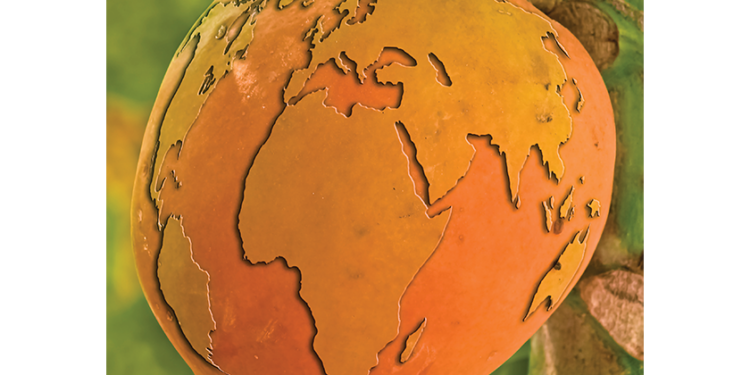 Your guide to papaya varieties