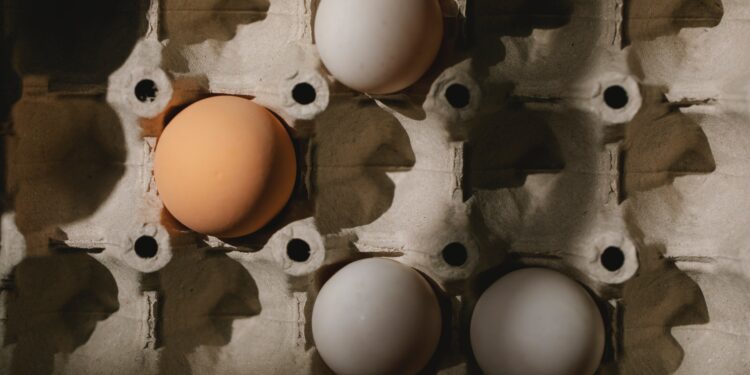 eggs in a carton