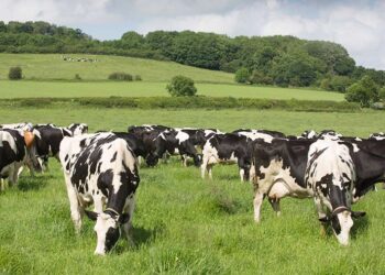 Management reshuffle at Omsco as business stabilises