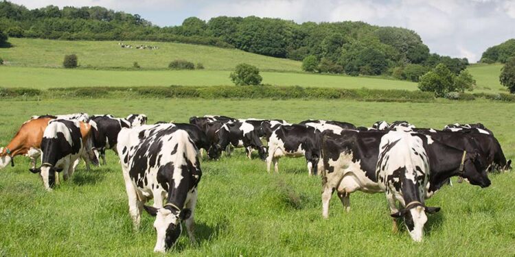 Management reshuffle at Omsco as business stabilises