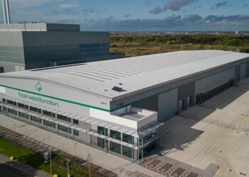 Vertical farming business wins funding for large London site