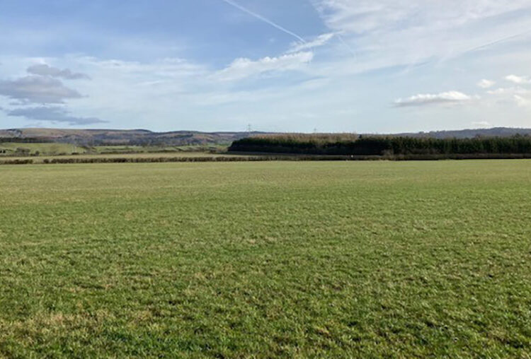 Decent parcels of bare land set to come to market