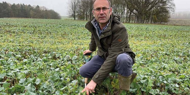 County Durham estate uses biologicals to reduce fungicide input