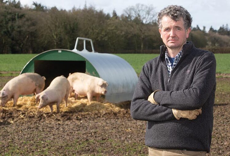 Farmer Focus: Heat stress memories prompt early plans