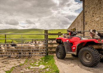 Farmers warned to protect quad bikes at lambing time