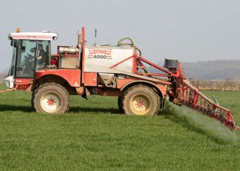 Crop Watch: T0 spray plans being made for wheat and gout fly