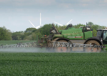 Why cutting N fertiliser is a bigger challenge this season