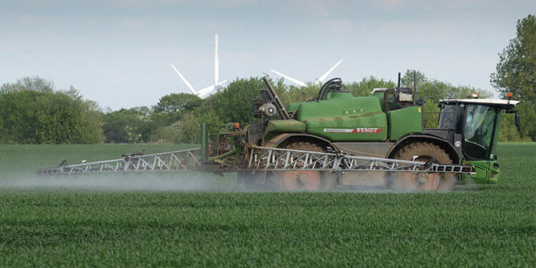 Why cutting N fertiliser is a bigger challenge this season