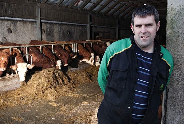 Farmer Focus: Comment on suckler cow efficiency sinks in