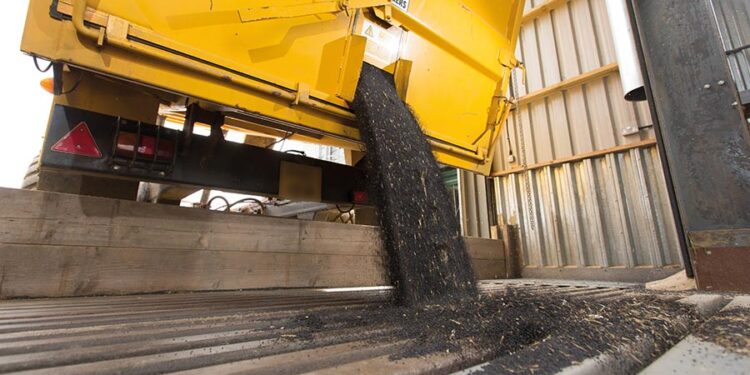 UK oilseeds markets fall below £350/t