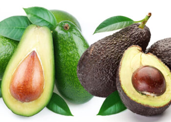Avocado Green Skin vs Hass