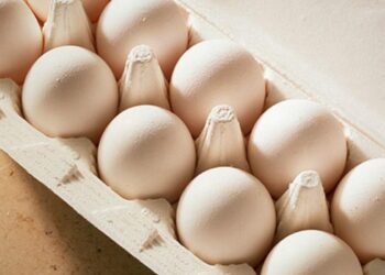 Dollar Tree puts temporary hold on egg sales