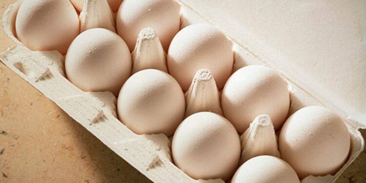 Dollar Tree puts temporary hold on egg sales