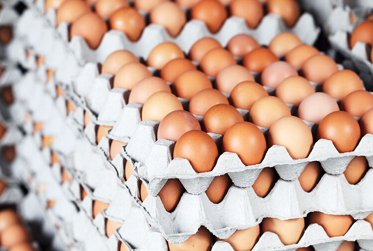 Packers fear influx of cage eggs from Mexico with new trade deal