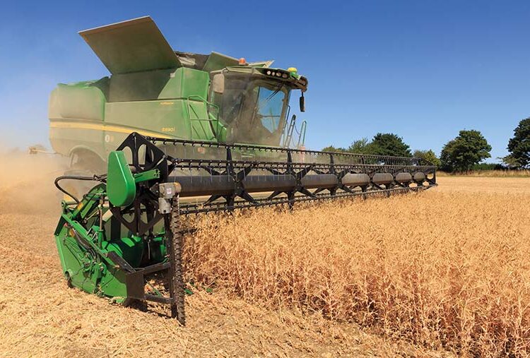 Business Clinic: Should we collaborate more with neighbours?