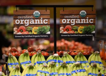 Inflation continues to hurt organic fresh produce sales