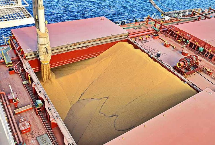 EU condemns Polish and Hungarian bans on Ukrainian grain