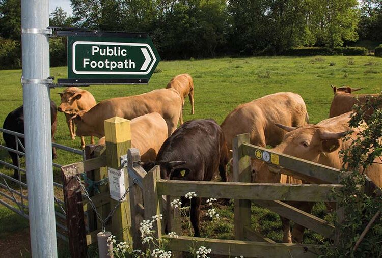 Business Clinic: How to get correct public liability cover?