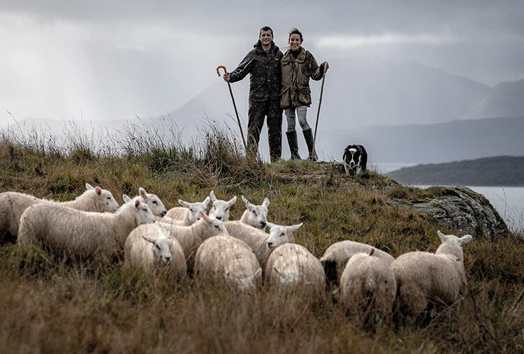 Sheepdog School: The secret to a good stop