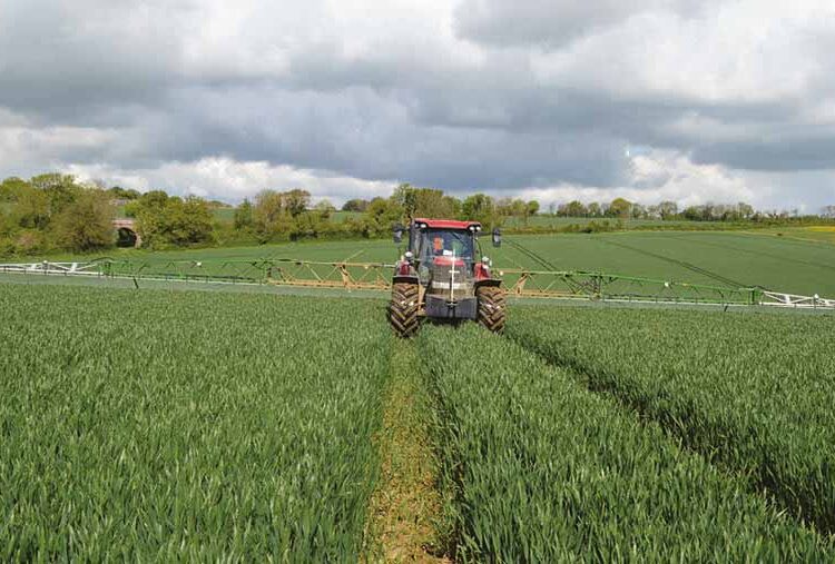 Cereals 2023: Wide spectrum wheat fungicide set for 2024