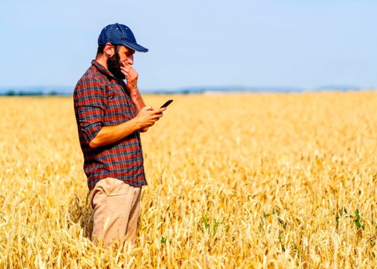 The Struggles Of The Modern Day Farmer In A Political World