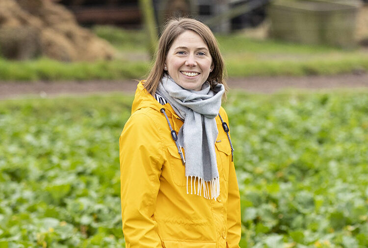 Farmer Focus: Irish Dairies Are Feeding More Cake