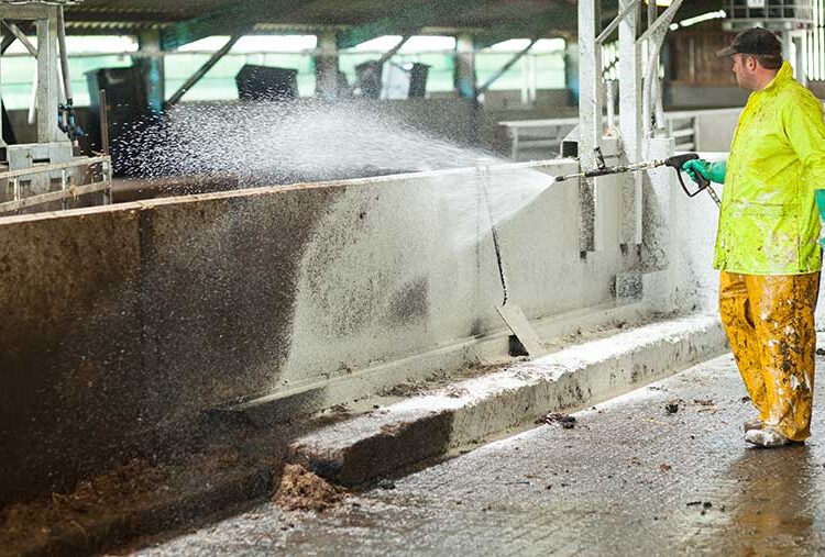 5 tips for farmers to adopt a robust biosecurity programme