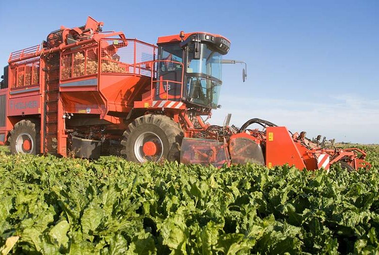 No 2024 beet crop price agreed, NFU Sugar insists