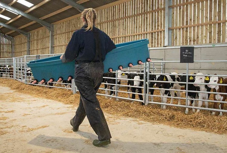 Young Farmers Week: Q&A with Defra and NFYFC