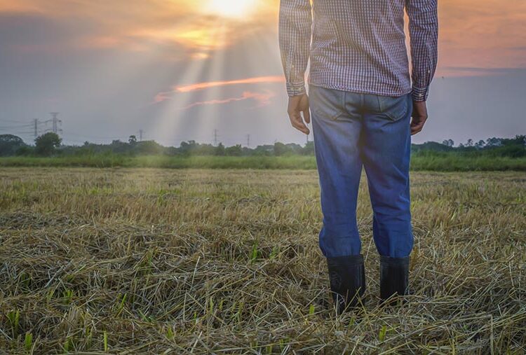 MPs accuse government of complacency on rural mental health