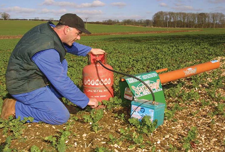 Crop Watch: Wet autumn sees rotting seed and missed sprays