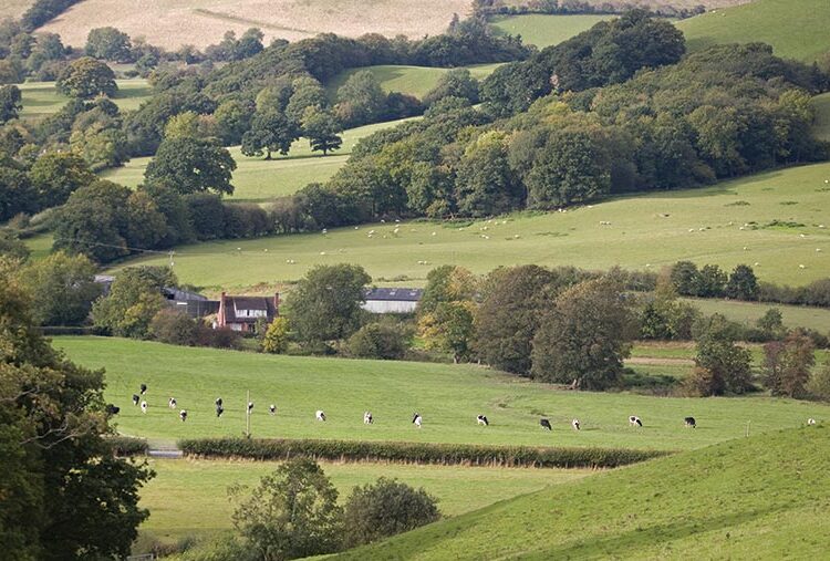 Habitat Wales Scheme payments criticised as ‘insult to nature’