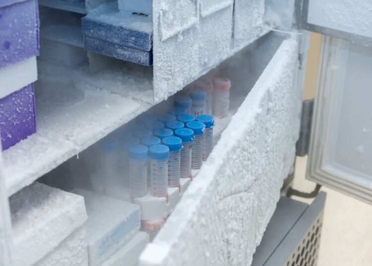 Running on Ice: Ultra-low temps become ultra-cool 