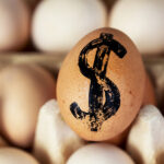 Egg Prices Crack Budgets: March CPI Report Shows 0.4% Rise in Food Prices