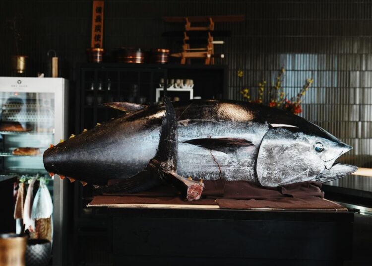 I Went to a Tuna Cutting. Here’s What Happened.