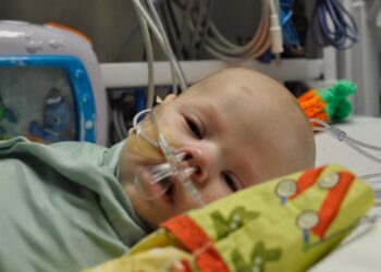 Publisher’s Platform: To Safer Infant Formulas and doing away with Botulism, Cronobacter sakazakii, Salmonella and Bacillus cereus