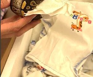 From liquid meth to live pythons, CBP stops smuggling at the border