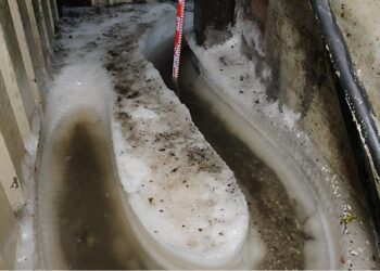 Companies fined after deaths at chicken factory