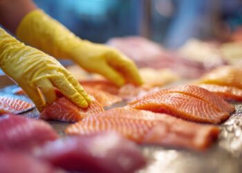Dutch fish controls find problems; meat fraud suspected