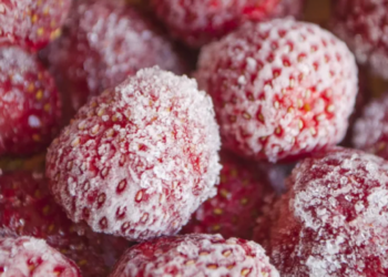 Swedish hepatitis A outbreak expands with 11 sick