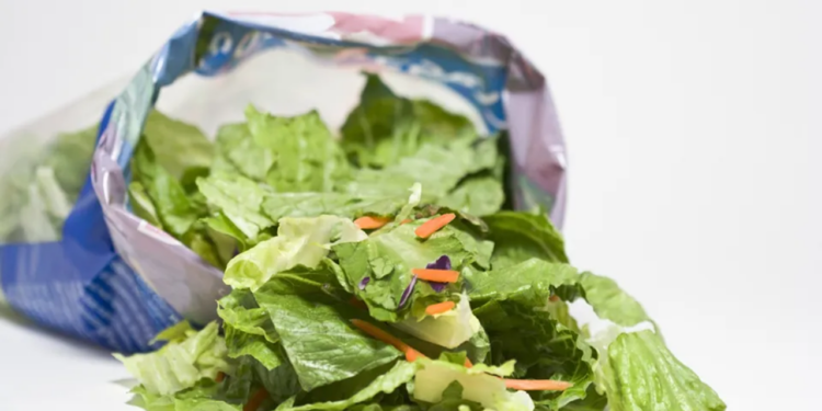 UK salad sampling reveals low contamination rate