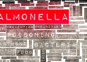 Restaurant fined over link to Salmonella outbreak