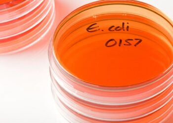 USDA posts warning about beef kofta linked to E. coli outbreak