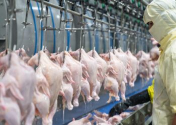 Lawmakers want USDA to maintain line speeds in poultry and pork plants, citing food safety