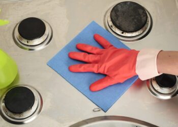 Belgium puts focus on domestic food safety