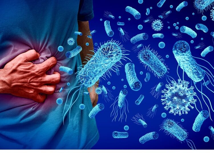 WHO estimates costs and benefits of foodborne disease surveillance investment