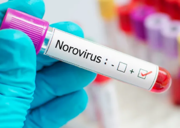 Norovirus sickens hundreds in Sweden