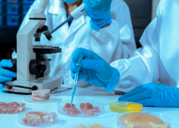 USDA move to decommission Beltsville Research Center sparks food safety and legal concerns