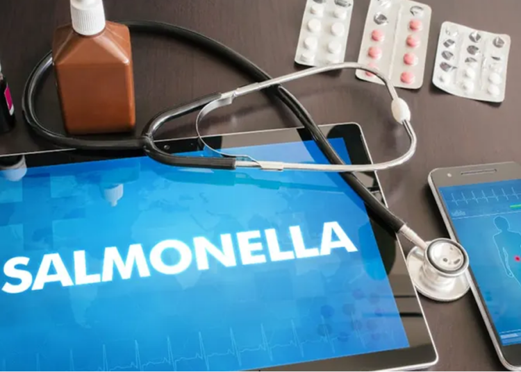 Costa Rica reports Salmonella outbreaks; one possible death
